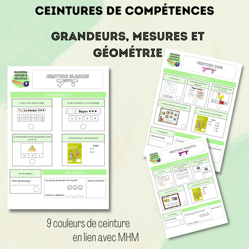 Ceintures de Grandeurs, Mesures et Géométrie en lien avec MHM – CE2 ...