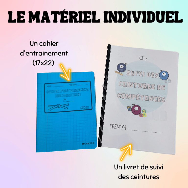 Les ceintures de compétences : mise en place et fonctionnement – La ...