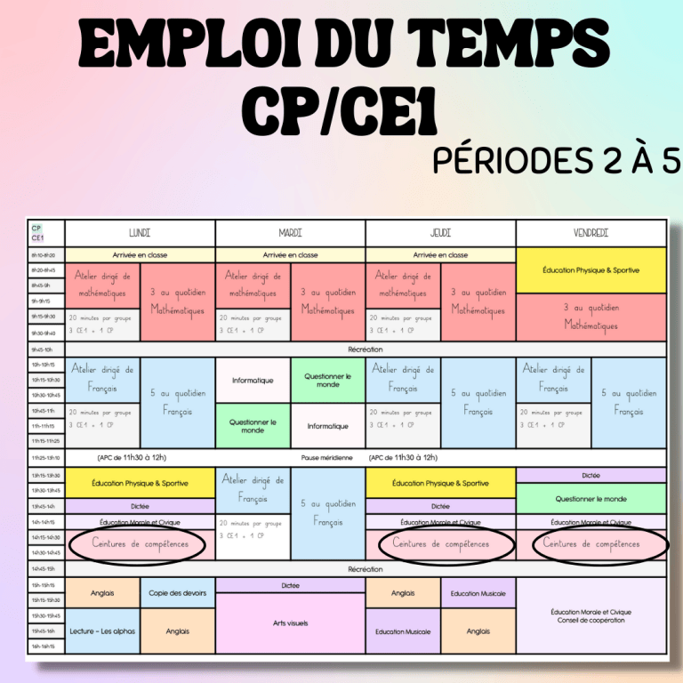 Les ceintures de compétences : mise en place et fonctionnement – La ...