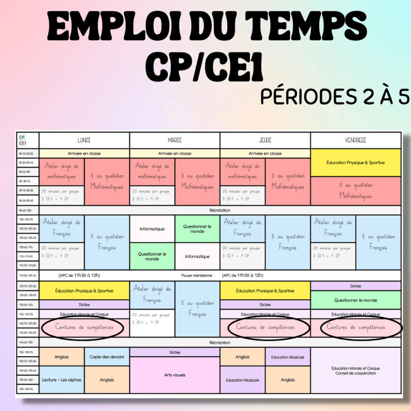 Les ceintures de compétences : mise en place et fonctionnement – La ...